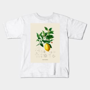 Lemon Antique Botanical Illustration Kids T-Shirt